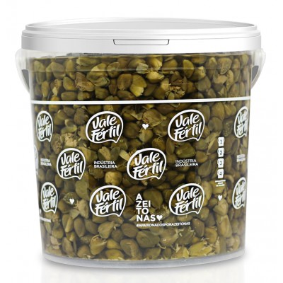 11557 - alcaparra Vale Fértil 2kg 11/12