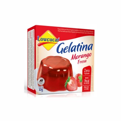 13111 - gelatina diet morango Lowçúcar 10g