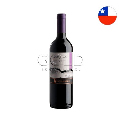 19575 - vinho tinto 750ml chileno Ventisquero clássico syrah