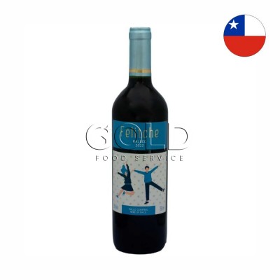 21011 - vinho tinto 750ml chileno Felitche malbec 2022