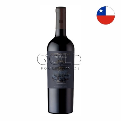 21322 - vinho tinto 750ml chileno Morandé Terrarum Reserva carménère